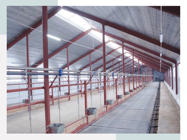 Строительство коровников в Нижнекамске от 608 руб.