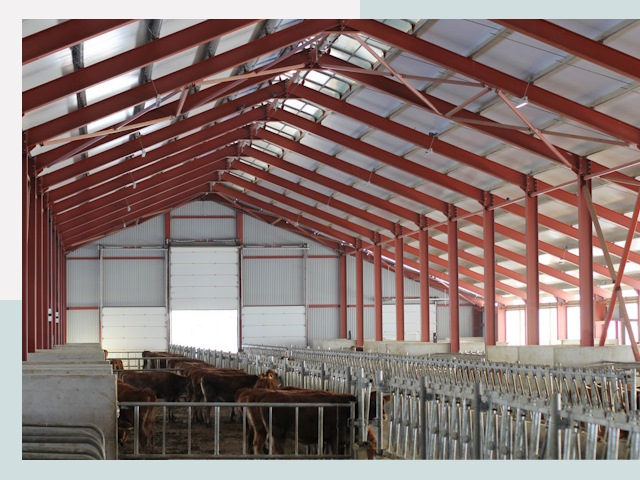 Строительство коровников в Нижнекамске