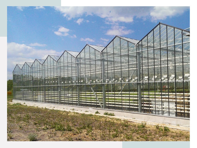 Строительство теплиц в Нижнекамск от 608 руб. за м²